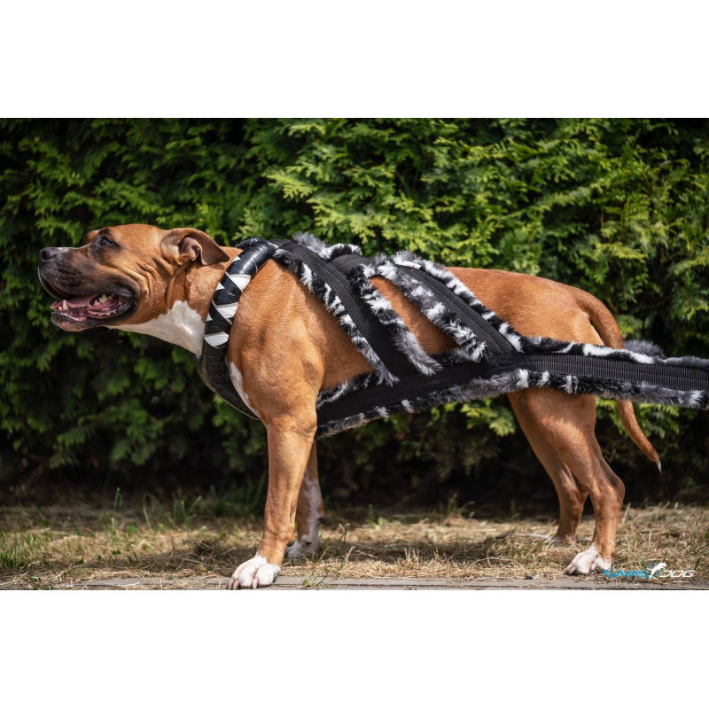 Szelki WEIGHT PULLING AIR X-BACK short fur