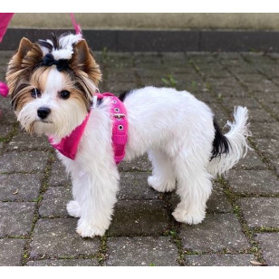 Szelkeczki 1,5 cm FLEECE COMFORT