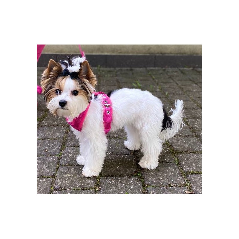 Szelkeczki 1,5 cm FLEECE COMFORT