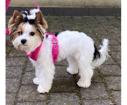 Szelkeczki 1,5 cm FLEECE COMFORT