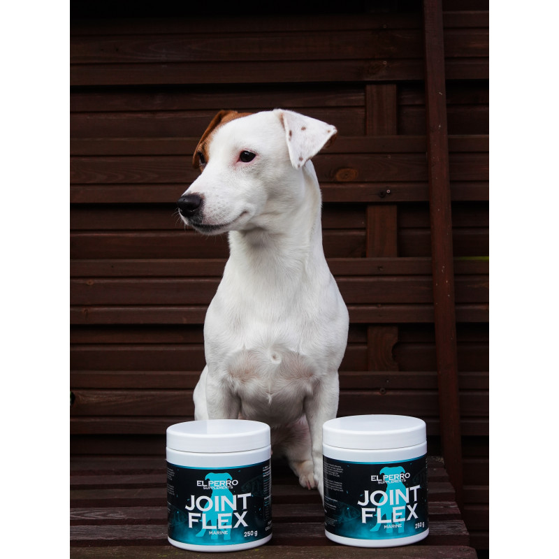 El Perro JOINT FLEX MARINE