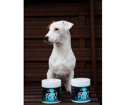 El Perro JOINT FLEX MARINE