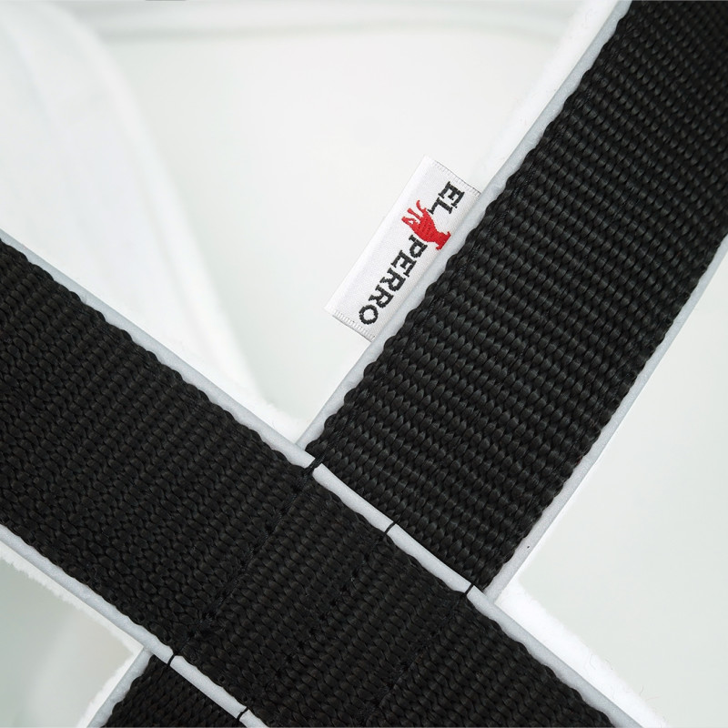 Harness WP X-BACK GLOW  4 cm