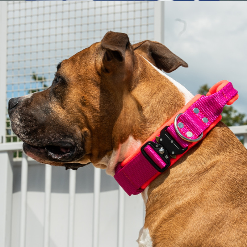 Collar EXTREME SAFE GRIP 4 cm