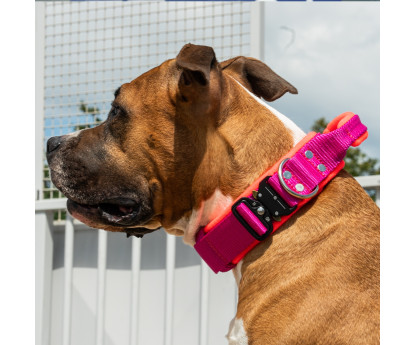 Collar EXTREME SAFE GRIP 4 cm