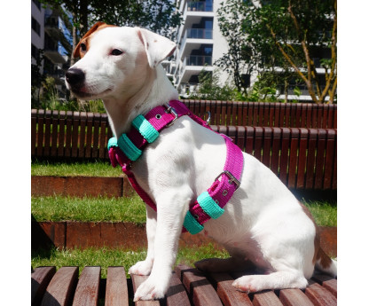 Harness JUICY Bicolor 3 cm