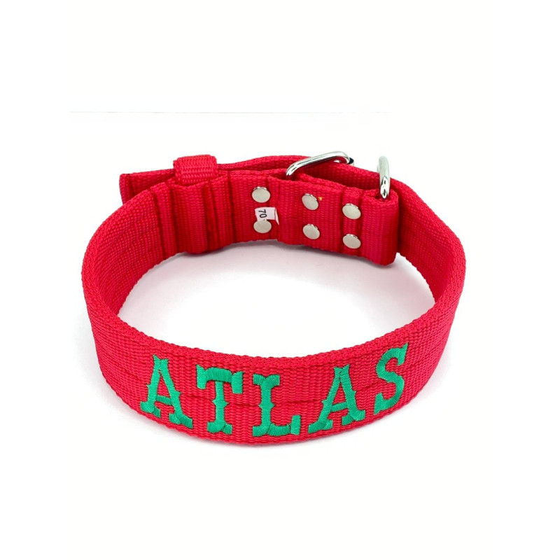 Obroża z półkolem  JUICY TRIPLE KENNEL 5 cm