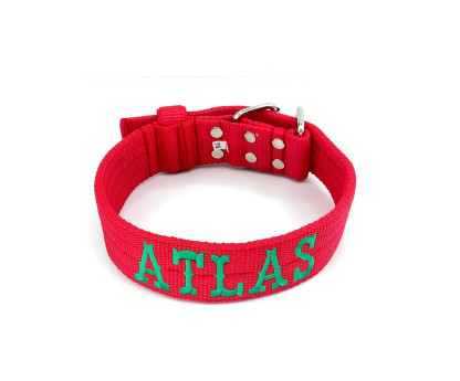 Obroża z półkolem  JUICY TRIPLE KENNEL 5 cm