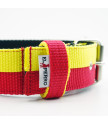 Obroża JUICY TRIPLE KENNEL Double Color  4 cm