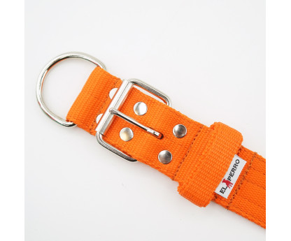 Collar INSIDE KENNEL 5 cm
