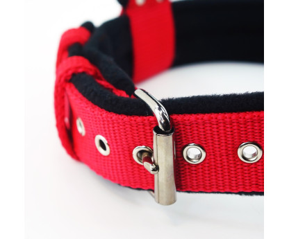 Szelki 4 cm FLEECE COMFORT