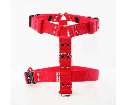 Szelki EXTREME TRIPLE 4 cm