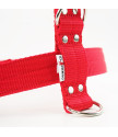 Harness EXTREME TRIPLE 4 cm