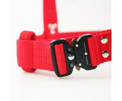 Harness EXTREME TRIPLE 4 cm