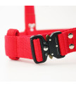 Harness EXTREME TRIPLE 4 cm