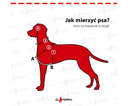 Szelki EXTREME TRIPLE GRIP 4 cm