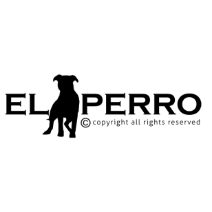 Obroża 2,5 cm Combi 2