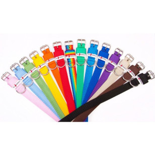 Obroża 2,5 cm Juicy z klamrą