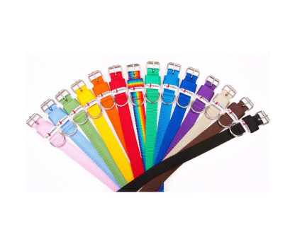 Obroża 2,5 cm Juicy z klamrą