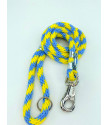 EXCLUSIVE CHROME BULL ROPE LEAD 180CM/16MM