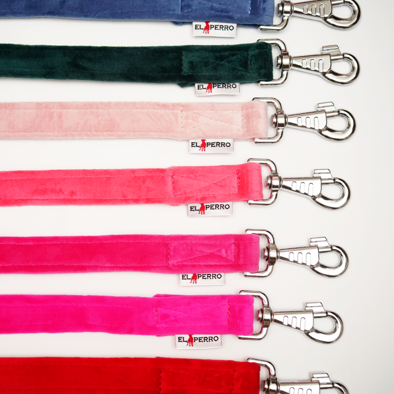 Leash JUICY  2,5 cm