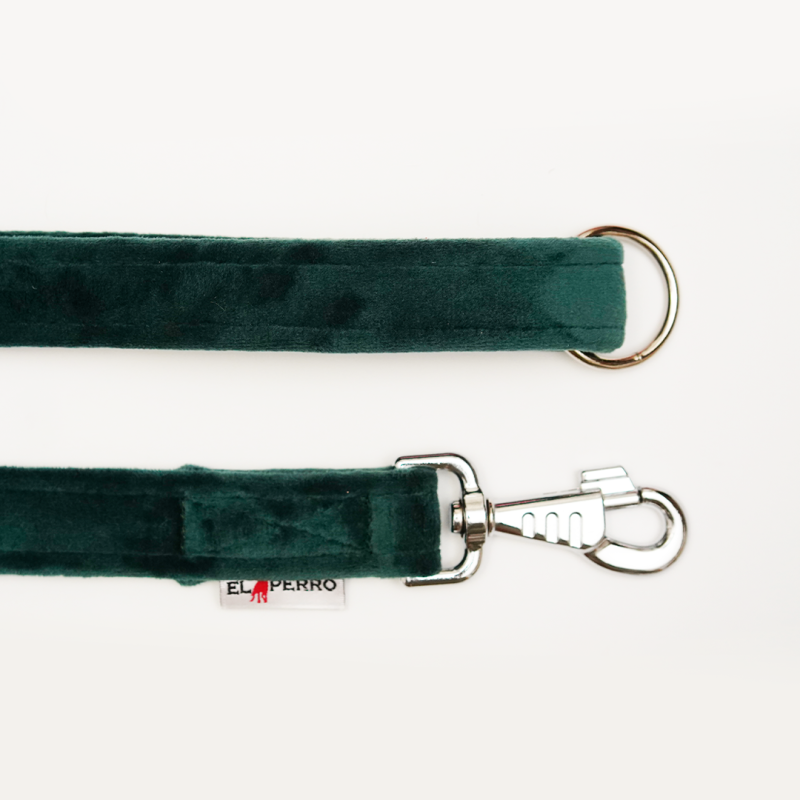 Leash JUICY  2,5 cm