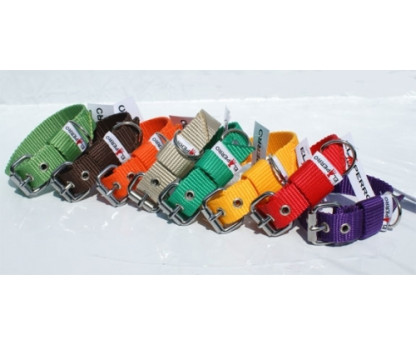 Collar JUICY PUPPY  2,5 cm