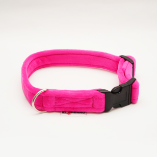 Obróżka  GLAMOUR PUPPY CLICK 1,5 cm 2