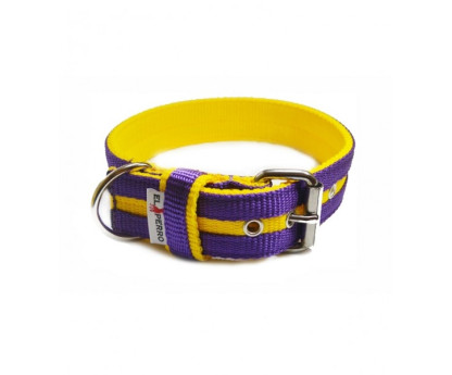 Collar JUICY STRIPS 4 cm