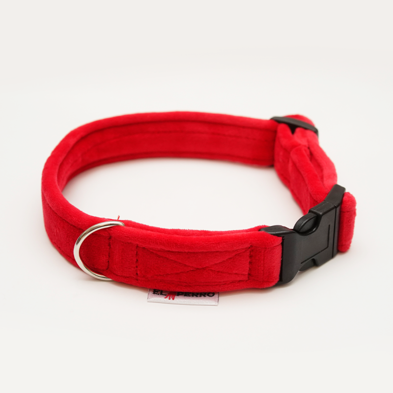 Obróżka  GLAMOUR PUPPY CLICK 1,5 cm