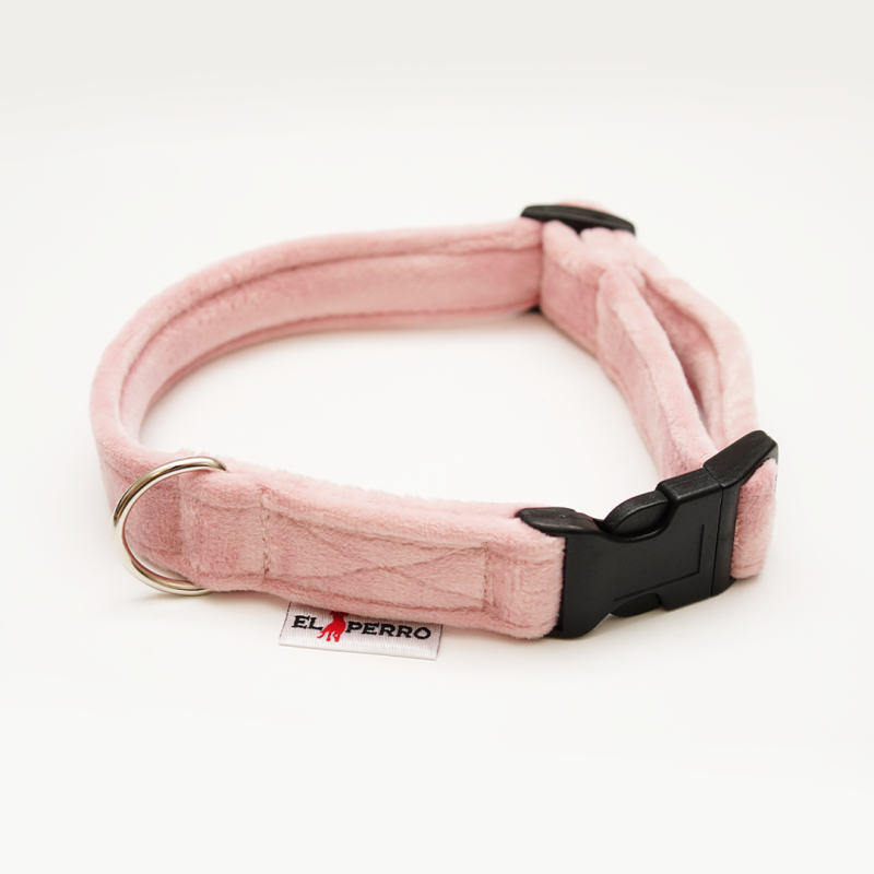 Obróżka  GLAMOUR PUPPY CLICK 1,5 cm