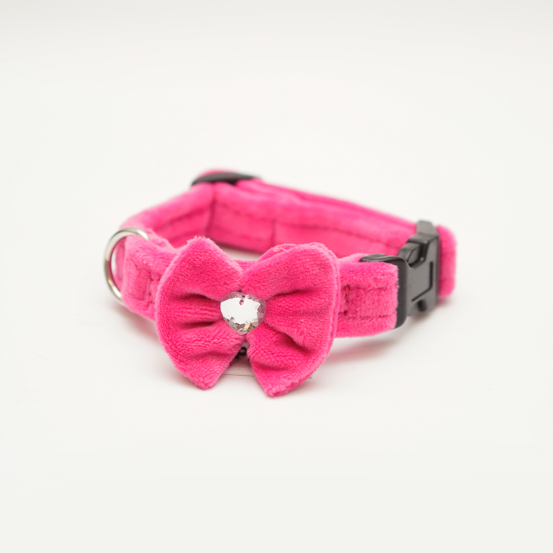 Obróżka GLAMOUR PUPPY CLICK Soft 2 cm
