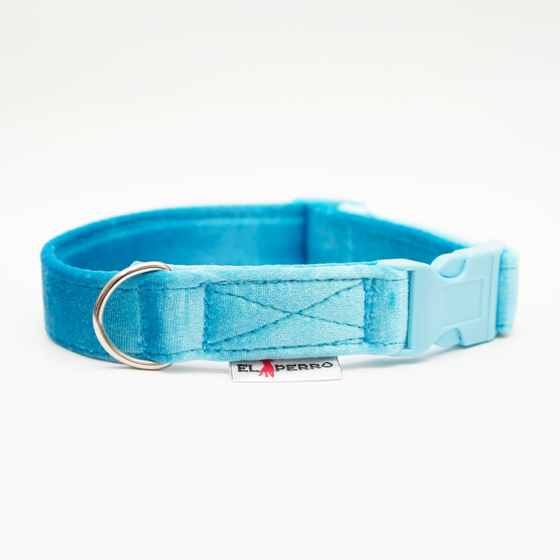 Collar FLAMOUR PUPPY CLICK Glossy2 cm