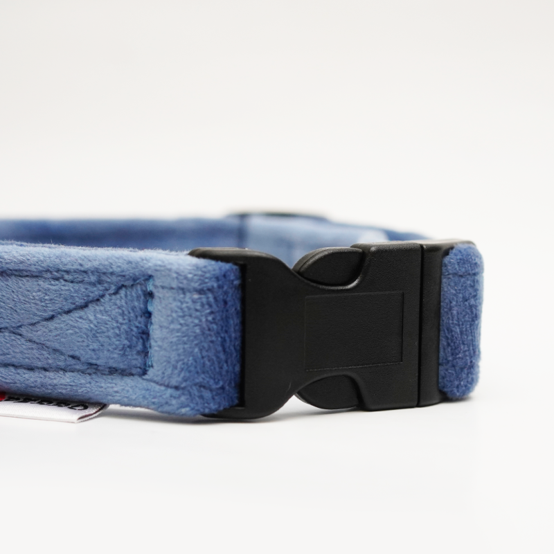 Collar GLAMOUR PUPPY CLICK Soft 2,5 cm