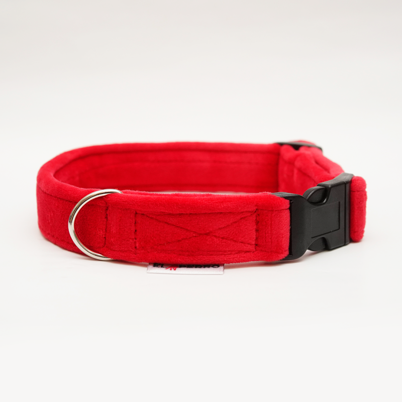 Collar GLAMOUR PUPPY CLICK Soft 2,5 cm