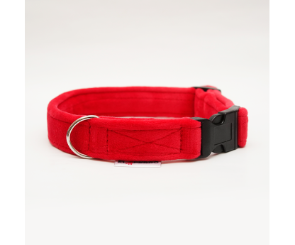 Collar GLAMOUR PUPPY CLICK Soft 2,5 cm