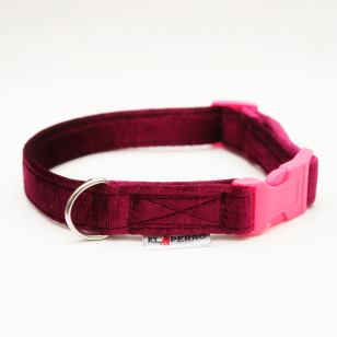 Collar GLAMOUR PUPPY CLICK Glossy 2,5 cm 2