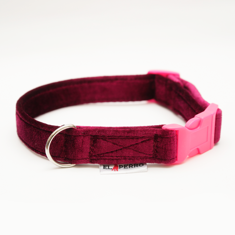 Collar GLAMOUR PUPPY CLICK Glossy 2,5 cm