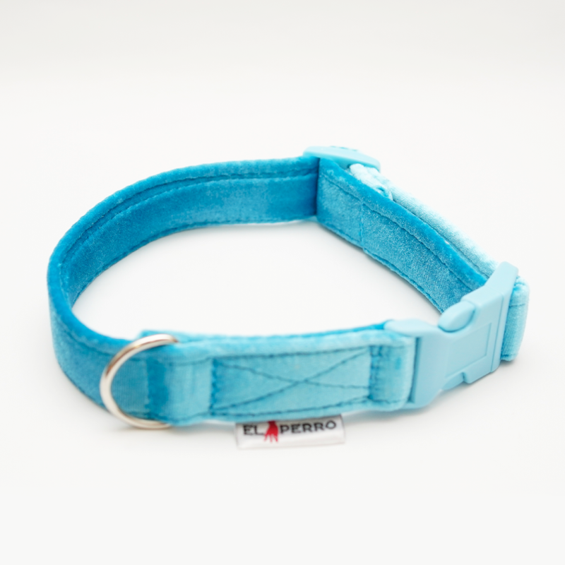 Collar GLAMOUR PUPPY CLICK Glossy 2,5 cm