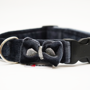 Collar GLAMOUR PUPPY CLICK Glossy 2,5 cm