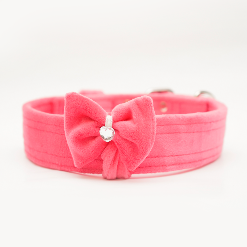 Collar KENNEL GLAMOUR Soft 4 cm