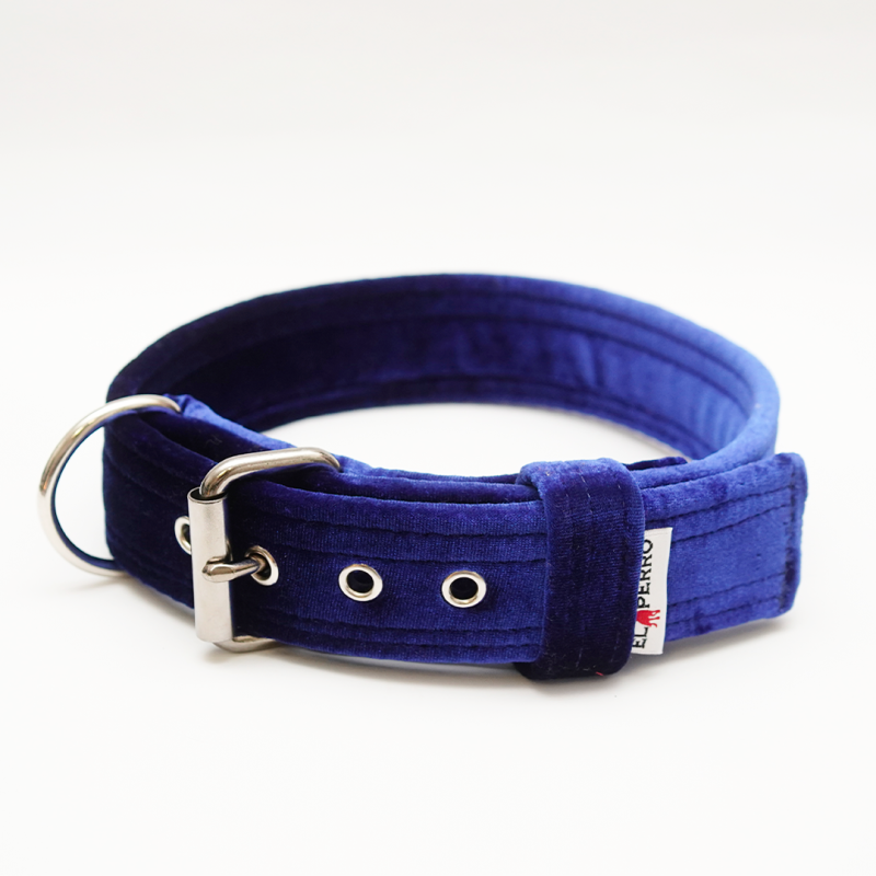 Collar KENNEL GLAMOUR Glossy 4 cm