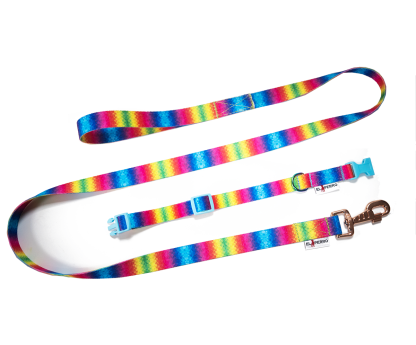 Leash FUNNY COLECTION 2,5 cm