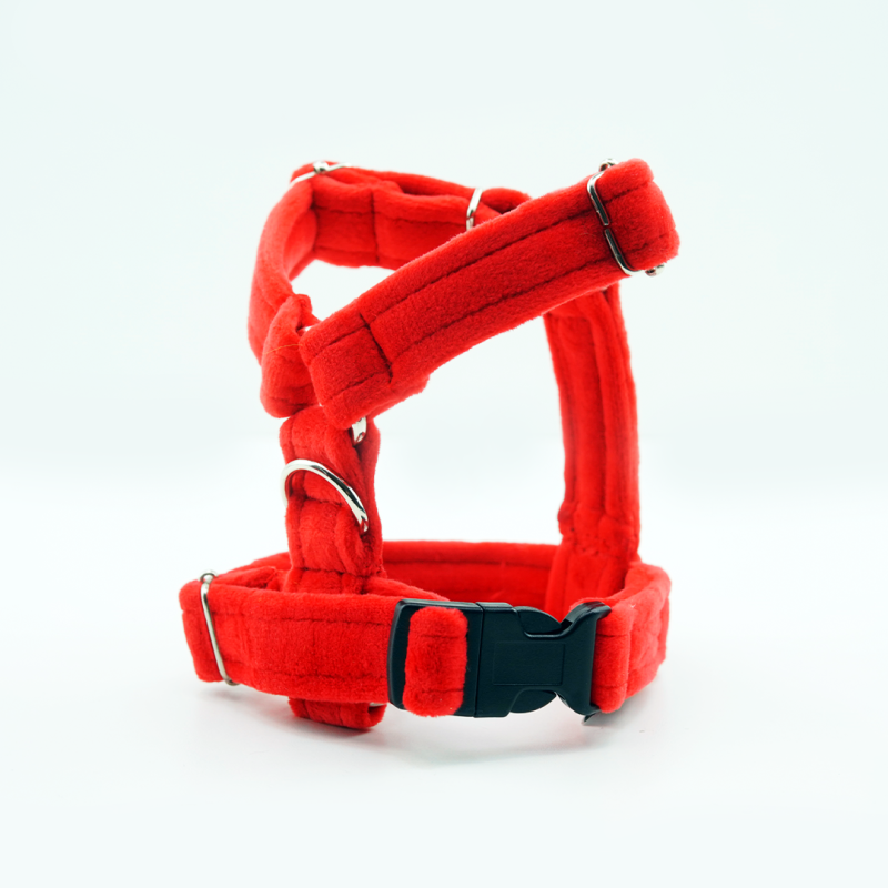 Regulowane szelki CLICK 2cm