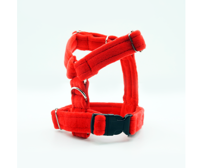 Regulowane szelki CLICK 2cm
