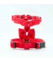 Adjustable harness CLICK 2cm
