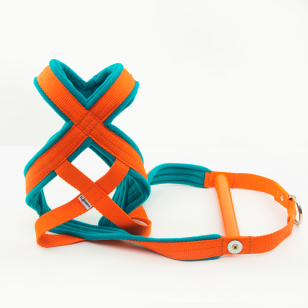 Szelki WEIGHT PULLING X-BACK Soft 4 cm