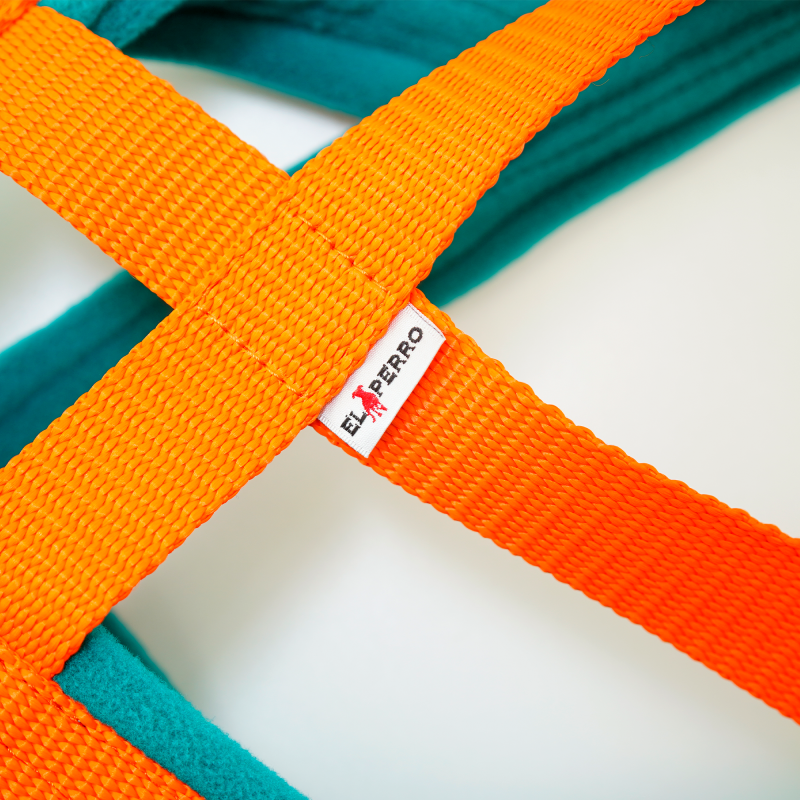 Harness WEIGHT PULLING X-BACK 4 cm