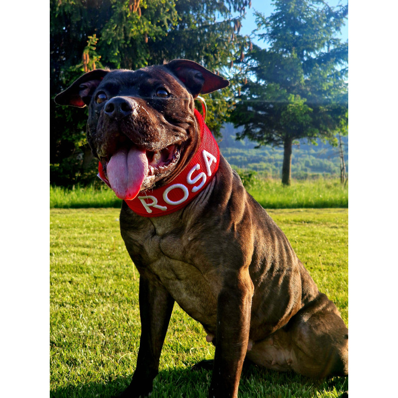 Collar 3D FLEECE COMFORT KENNEL 5 cm