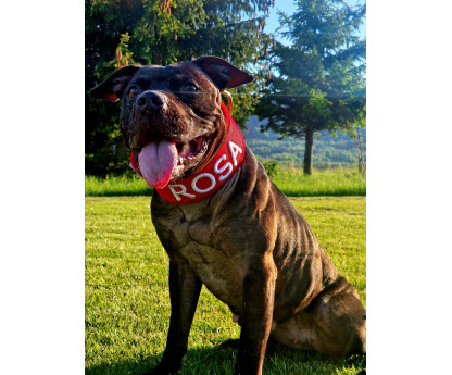 Obroża 3D FLEECE COMFORT KENNEL 5 cm